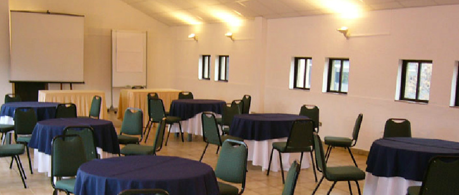 Hotel Alcala Del Rio Santiago Eksteriør bilde